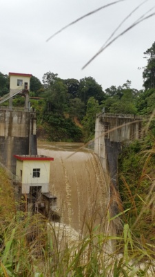 首页 - MG电子官方网站